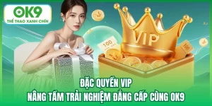 Đặc Quyền Vip | Nâng Tầm Trải Nghiệm Đẳng Cấp Cùng OK9