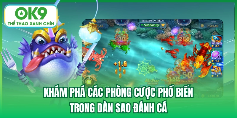 Khám phá các phòng cược phổ biến trong dàn sao đánh cá