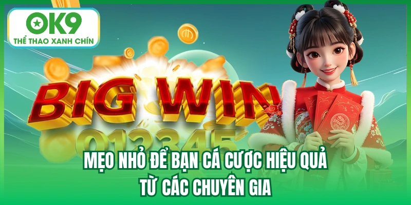 Mẹo nhỏ để bạn cá cược hiệu quả từ các chuyên gia